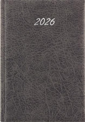 Naptár, tervező, B5, heti, DAYLINER, "Rebel", szürke